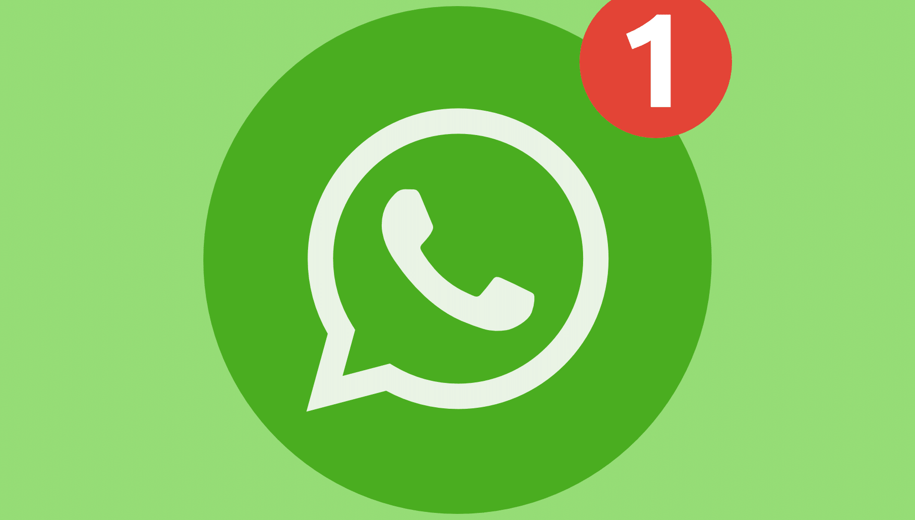 Where to View WhatsApp Group Sending Data Filter global social media platform bulk marketing numbers